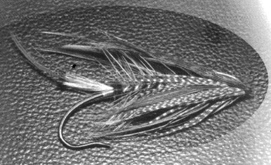 plumas avestruz wing floss
