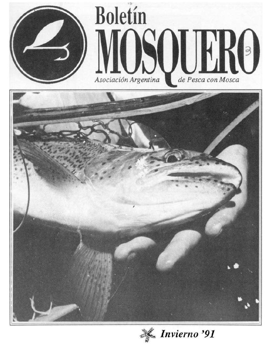 Boletin Mosquero Preview