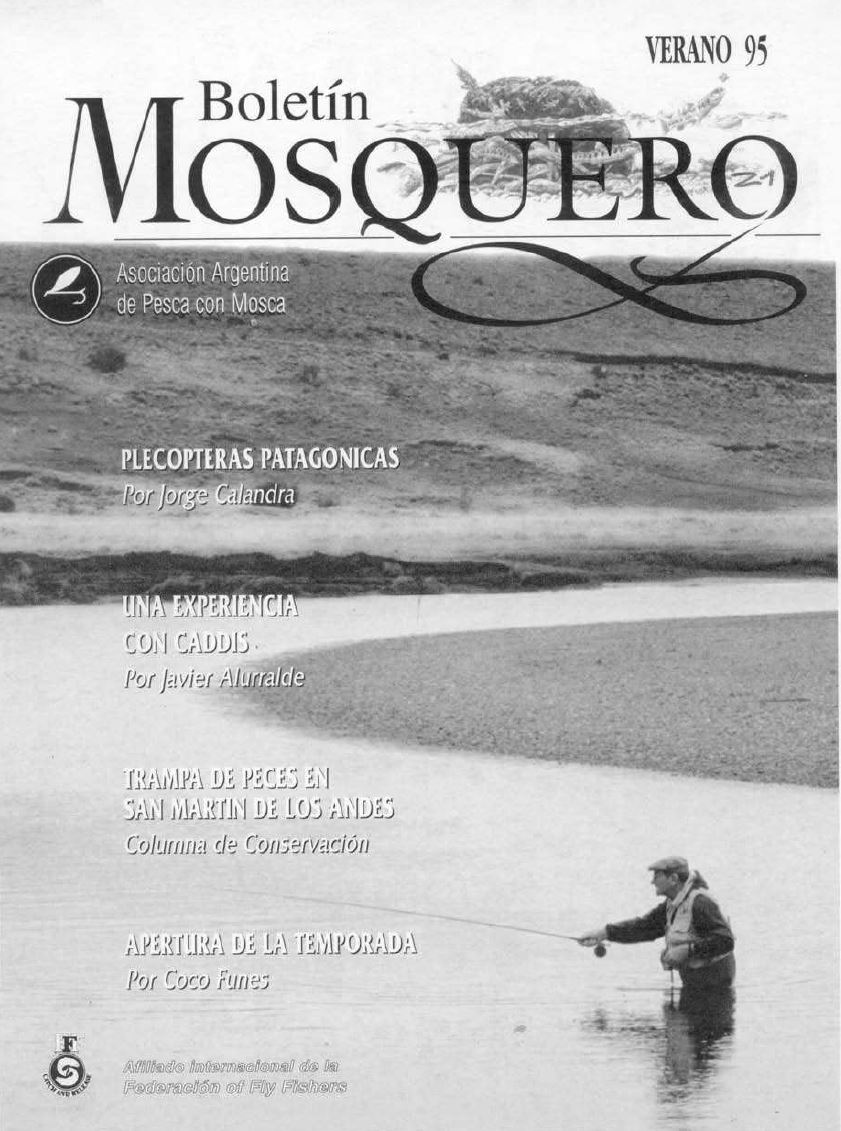 Boletin Mosquero Preview
