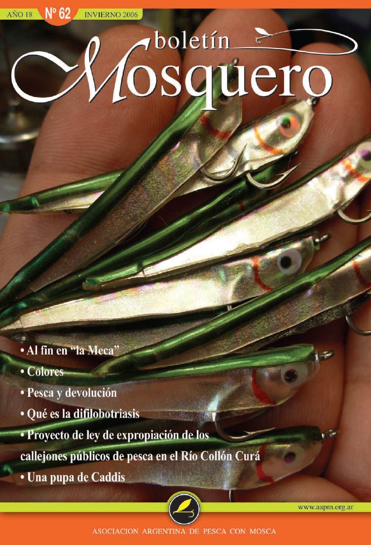 Boletin Mosquero Preview